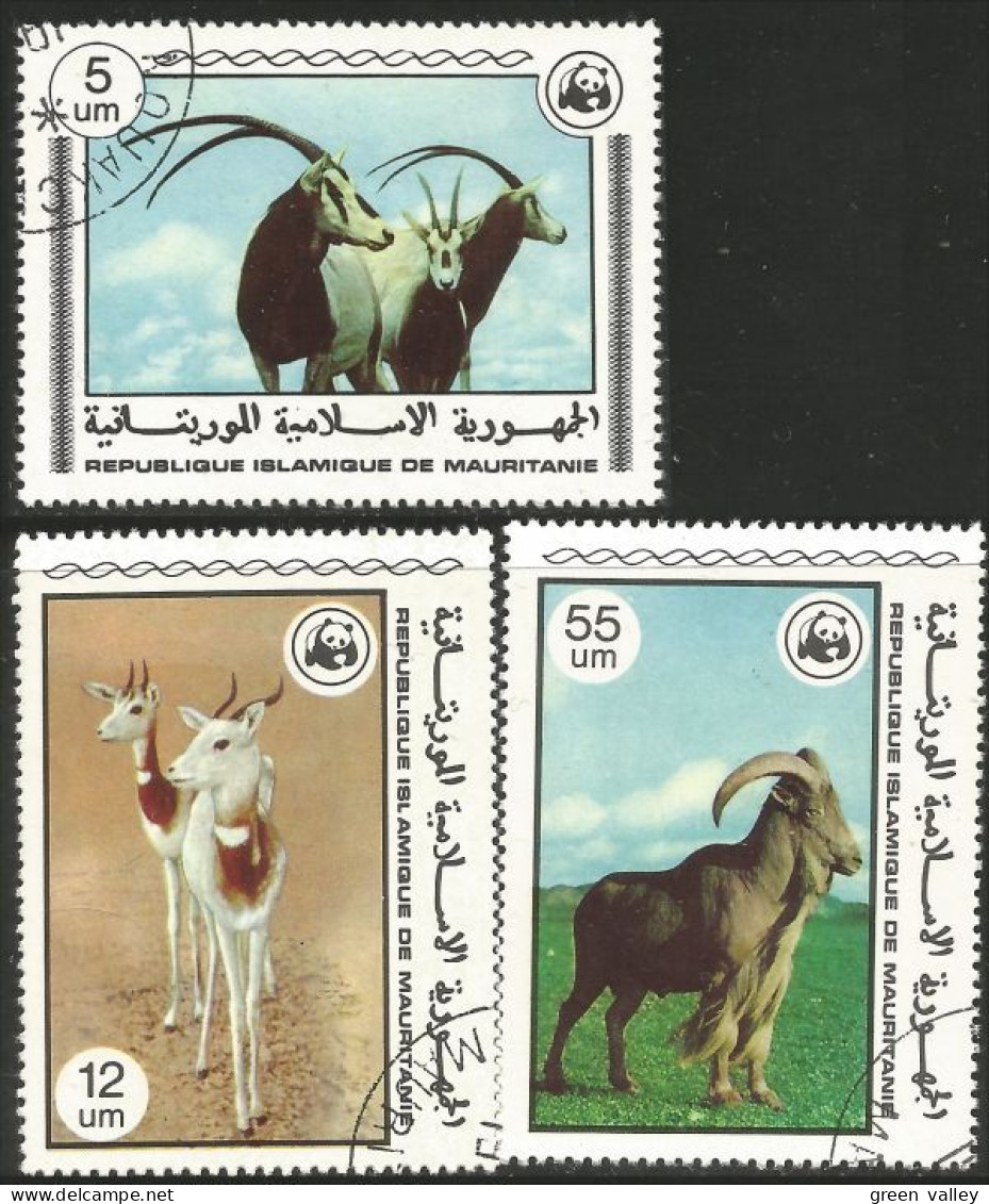 594 Mauritanie Chèvres Gazelles Goats Ziege Cabra Capra (MAU-14) - Ferme