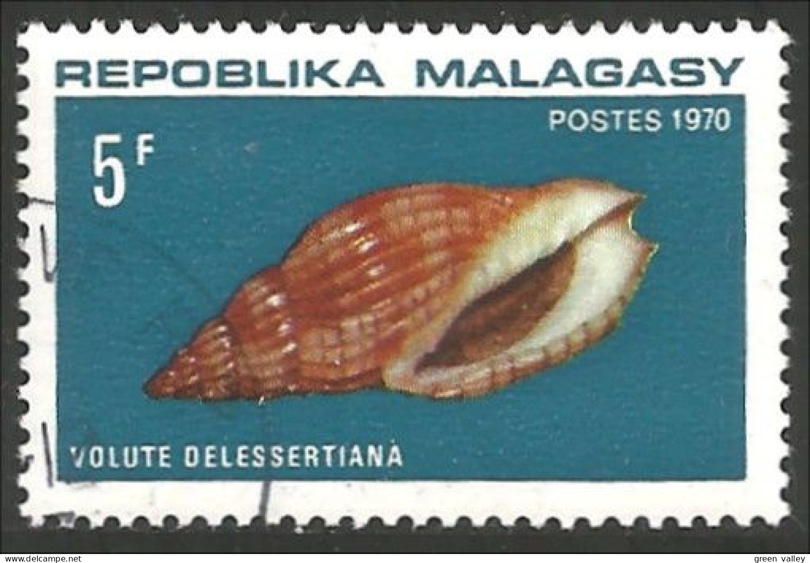 588 Madagascar Coquillages Shells Schaltier Mariscos Moluscos (MDG-45) - Conchas