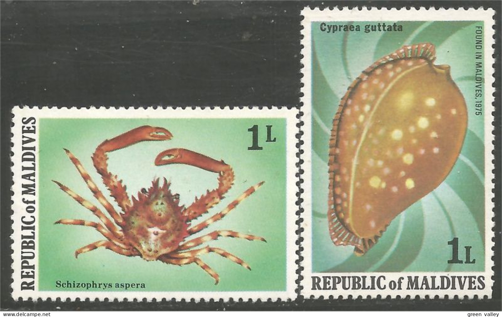 612 Iles Maldives Crabe Crab Krabbe Coquillage Shell Schaltier MNH ** Neuf SC (MLD-110) - Schaaldieren