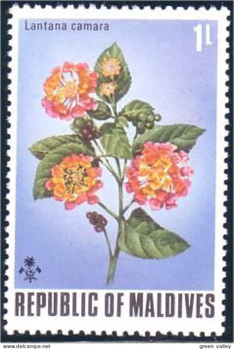 612 Iles Maldives Rose MNH ** Neuf SC (MLD-5b) - Rosas