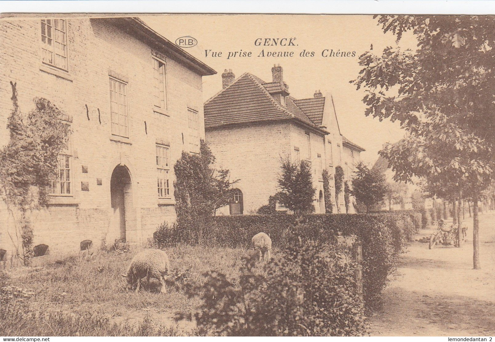 Genck - Genk - Vue Prise Avenue Des Chênes - Genk