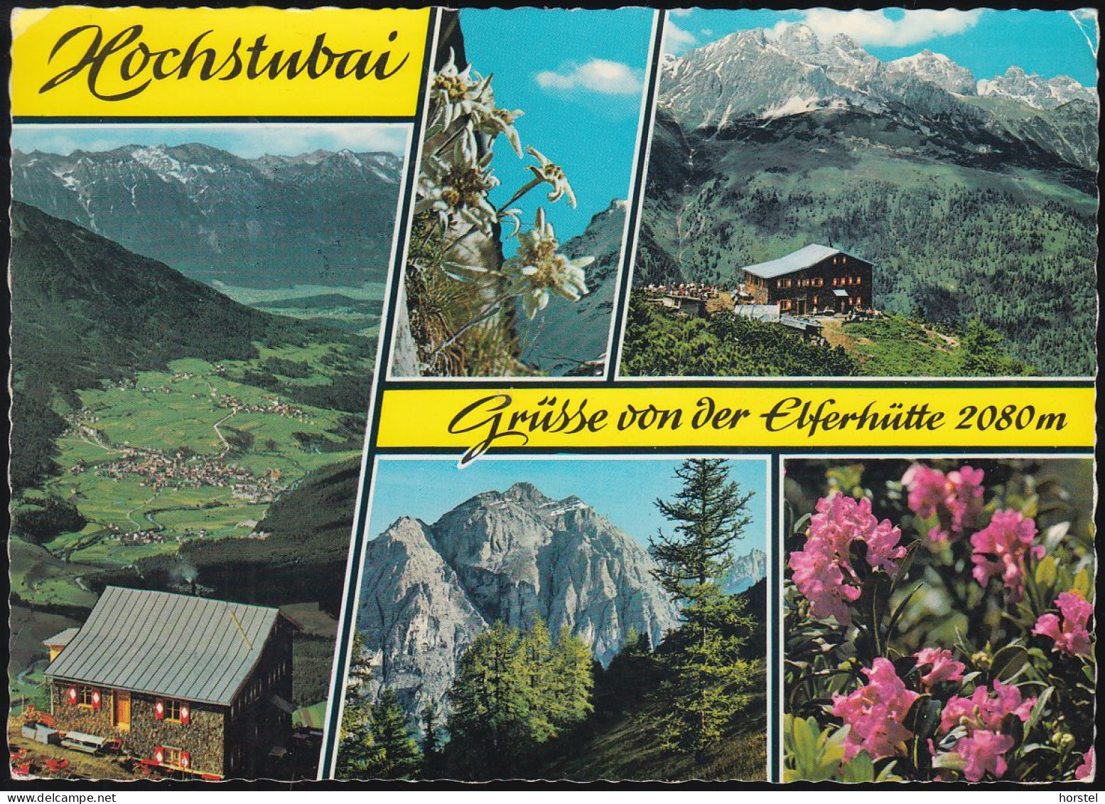 Austria - 6167 Neustift Im Stubaital - Elferhütte - 5 Alte Ansichten - Blumen - Nice Stamp - Neustift Im Stubaital