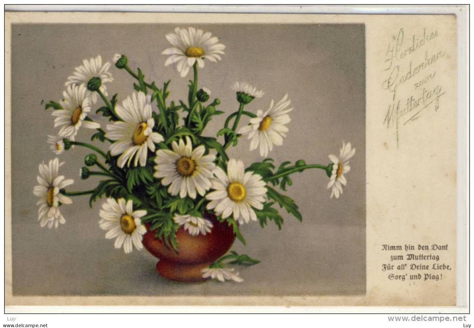 Glückwunsch Zum MUTTERTAG -  Margeriten, (Leucanthemum) - Fête Des Mères