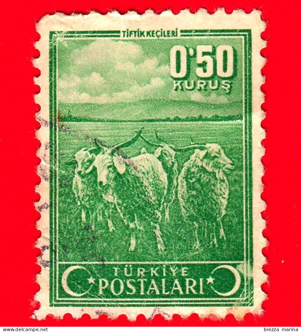 TURCHIA - Usato - 1942 - Capre - Angora Goats - 0.50 - Gebraucht