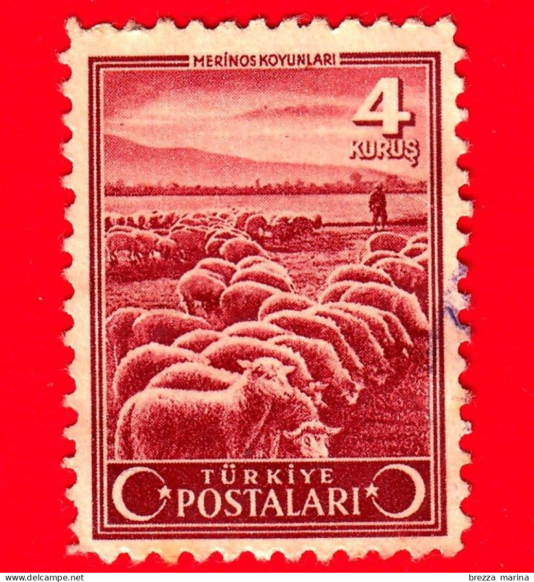 TURCHIA - Usato - 1943 - Animali (Fauna) - Mammiferi - Pecore - Pecora Merino (Ovis Aries) - 4 - Gebruikt