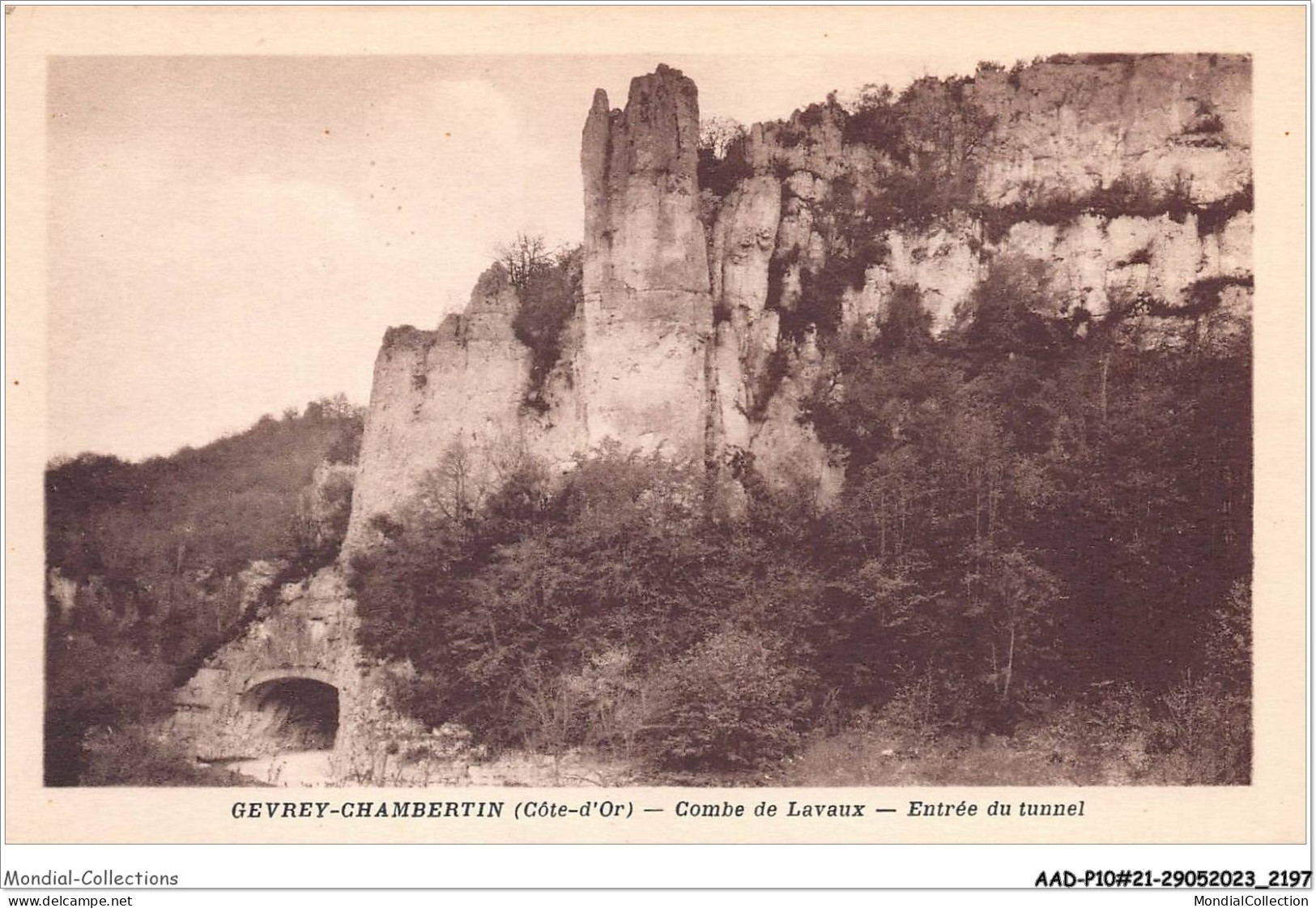 AADP10-21-0913 - GEVREY-CHAMBERTIN - Combe De Lavaux - Entree Du Tunnel  - Gevrey Chambertin