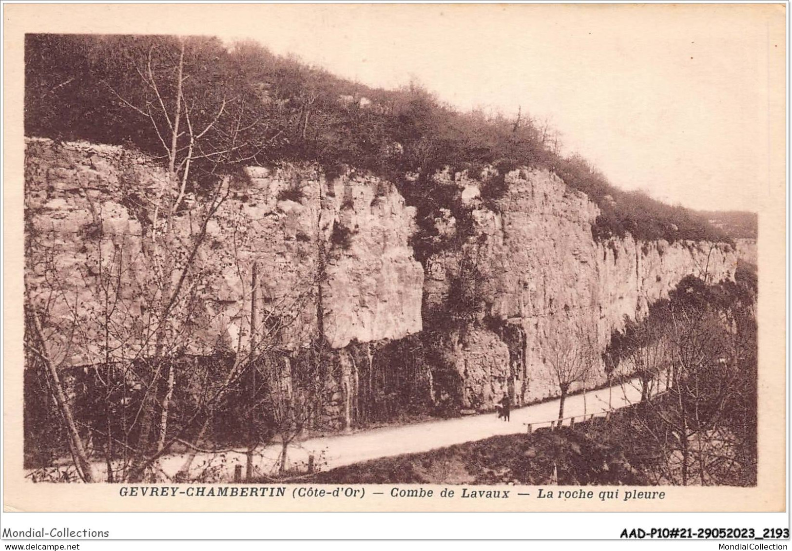 AADP10-21-0911 - GEVREY-CHAMBERTIN - Combe De Lavaux - La Roche Qui Pleure  - Gevrey Chambertin