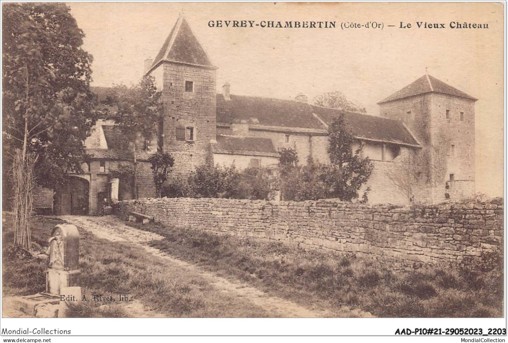 AADP10-21-0916 - GEVREY-CHAMBERTIN - Le Vieux Château  - Gevrey Chambertin