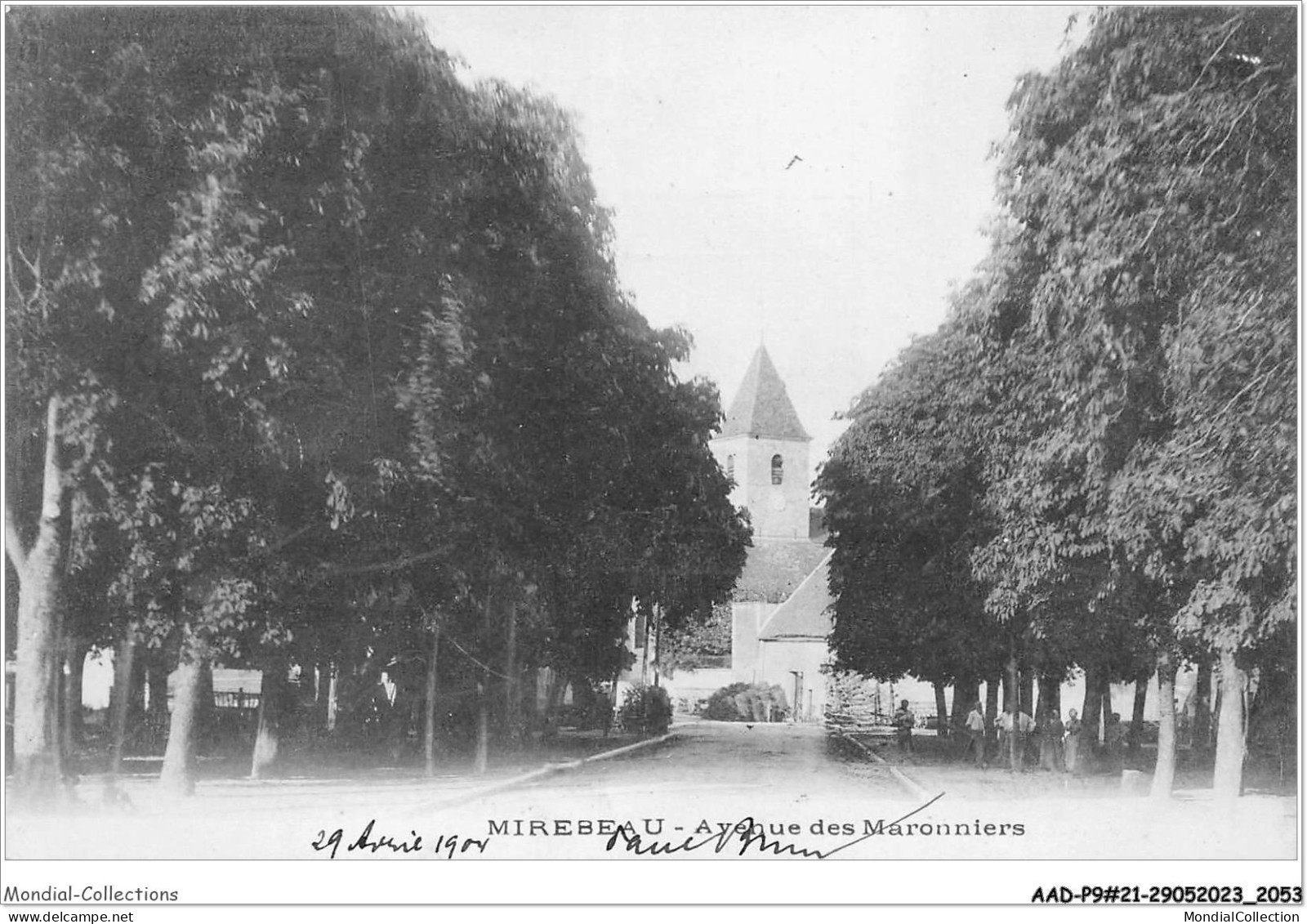 AADP9-21-0841 - MIREBEAU - Avenue Des Maronniers  - Mirebeau