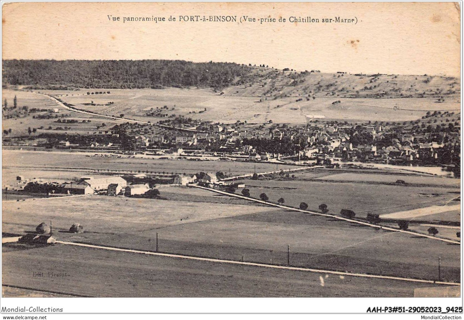 AAHP3-51-0222 - Vue Panoramique De PORT-à-BINSON - Vue Prise De Chatillon-sur-Marne - Châtillon-sur-Marne