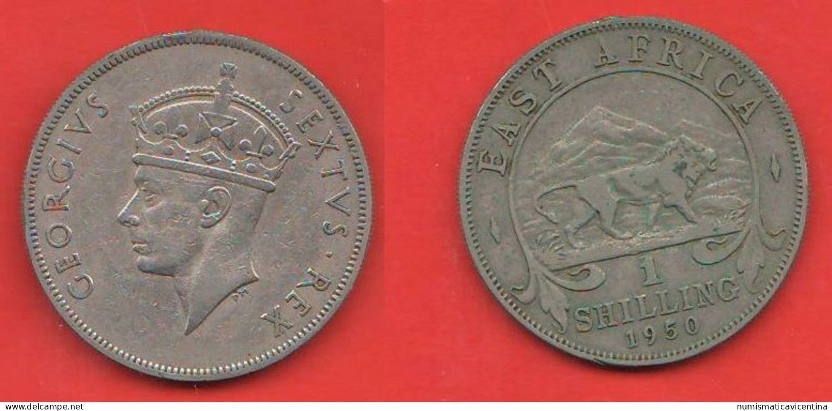 British East Africa 1 Shilling 1950 King Georgius VI Africa Orientale Britannica - Colonie Britannique