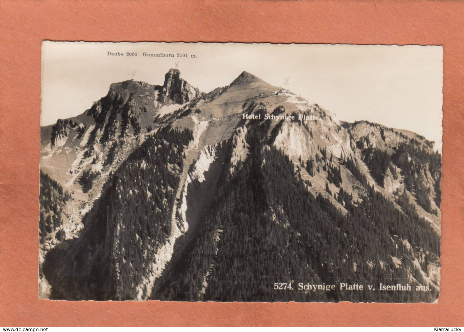 SCHYNIGE PLATTE - SUISSE - BERNE - GUNDLISCHWAND - V. ISENFLUH AUS - ECRITE - Gündlischwand