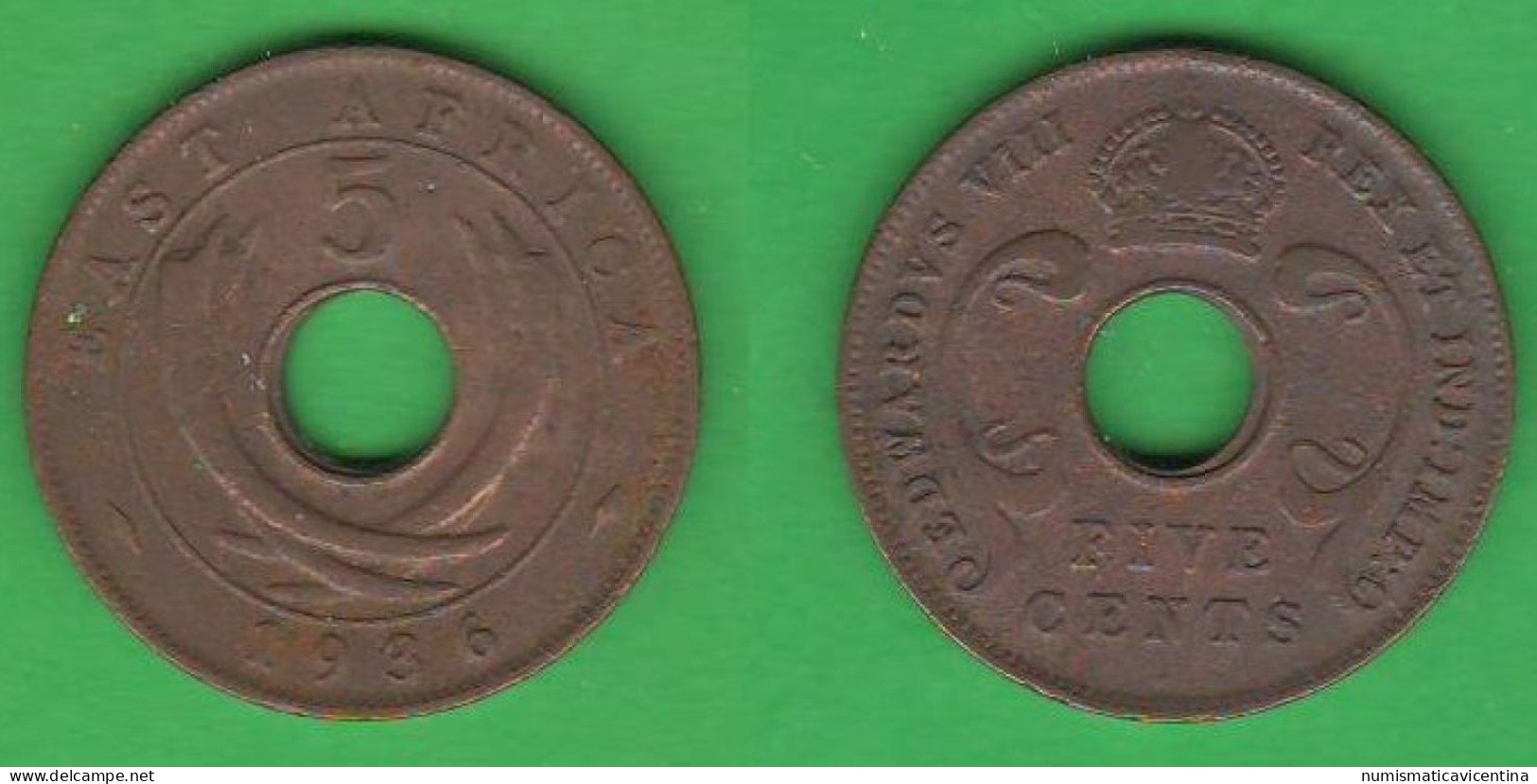 British East Africa 5 Cents 1936 Afrique Orientale Britannique - Britse Kolonie