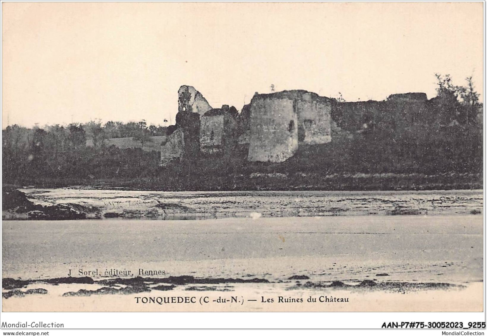 AANP7-75-0561 - TONQUEDEC - Les Ruines Du Chateau - Tonquédec