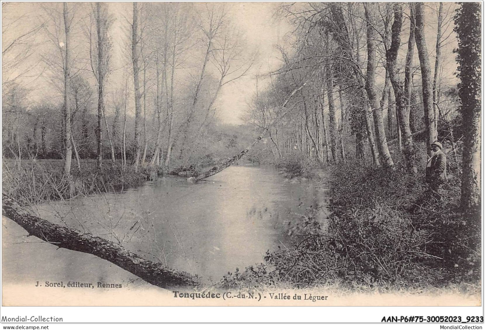 AANP6-75-0550 - TONQUEDEC - Vallee Du Leguer - Tonquédec