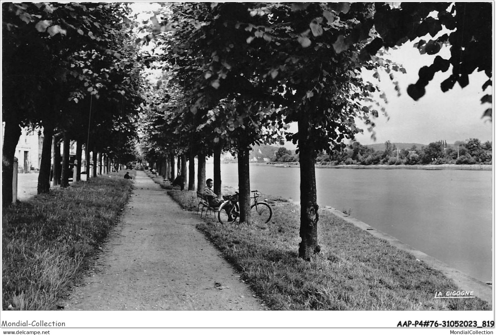 AAPP4-76-0324 - DUCLAIR - La Promenade - Duclair