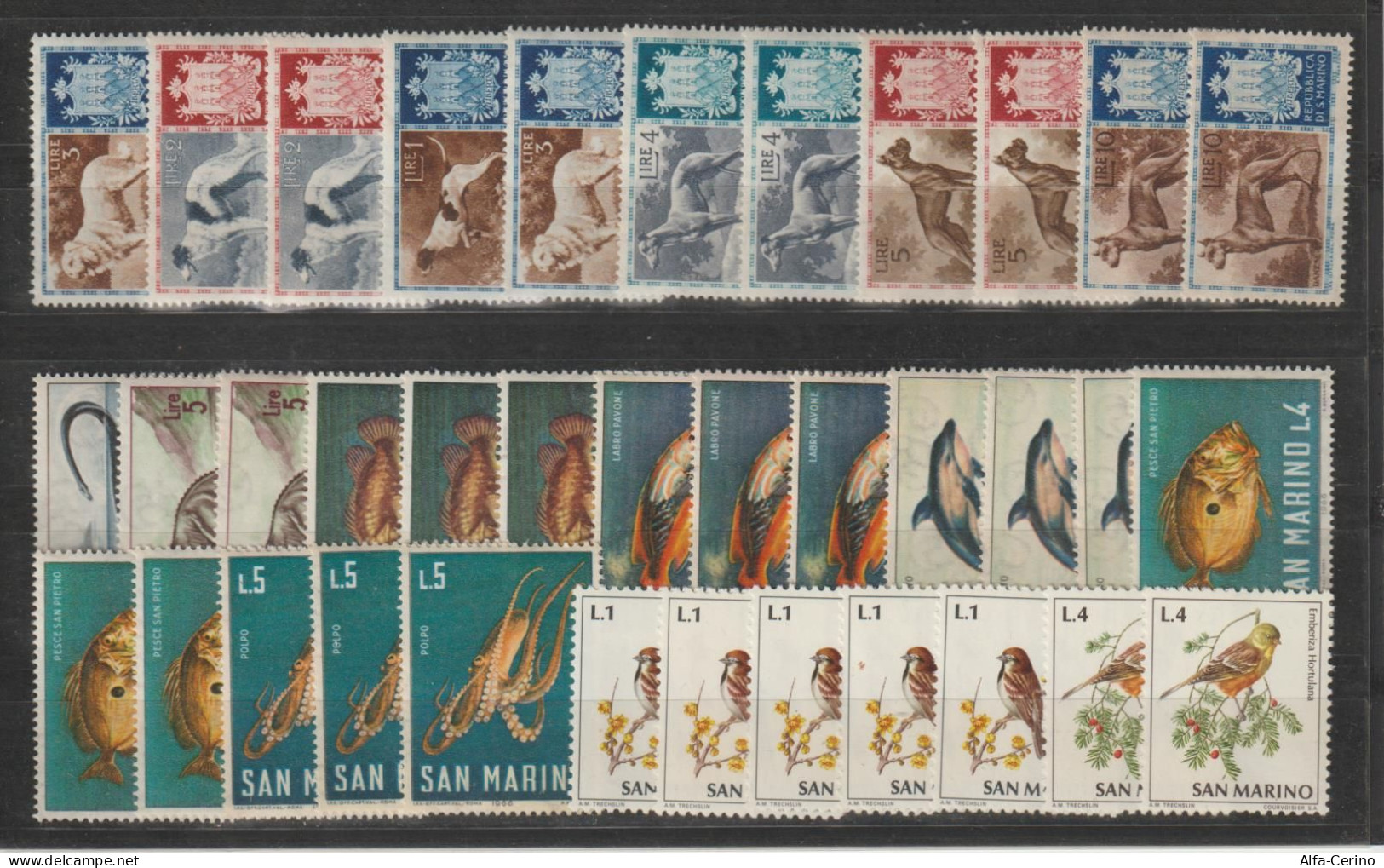 SAN  MARINO:  1956/72  ANIMALI  -  LOTTO  36  BASSI  VALORI  N. -  SASS. 439//858 - Unused Stamps
