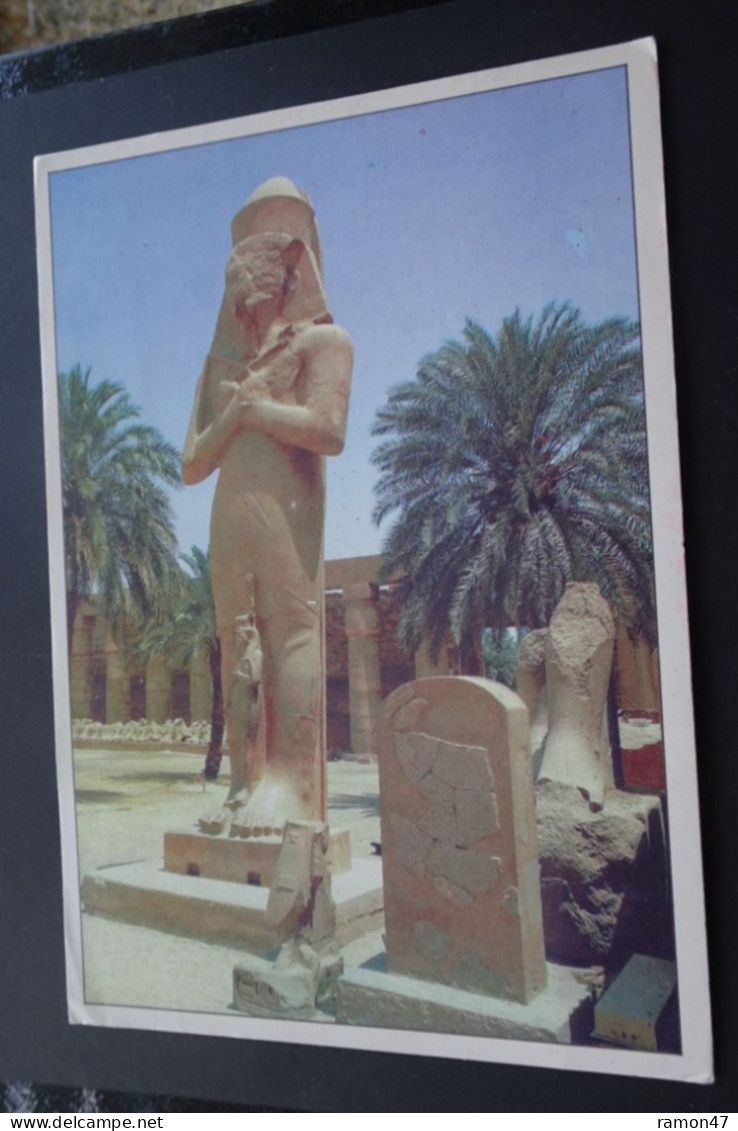 The Sphinxes Of Ramses II - Sant Moneka, Aswan - Assuan