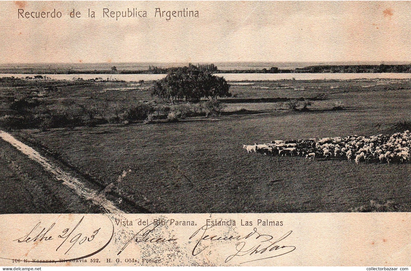 Argentina Rural Area Postmark DESVIO GAJAN Postmark Cancel Liberty Stamp Postcard Ruralia - Brieven En Documenten