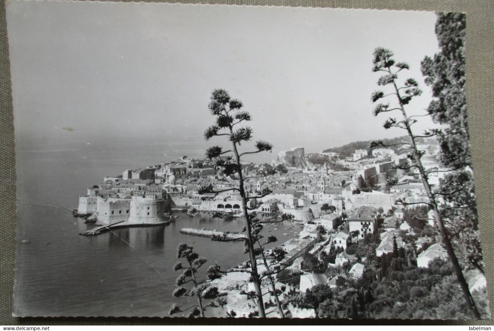 CROATIA DUBROVNIK JUGOSLAVIA POSTCARD CARTOLINA ANSICHTSKARTE CARTE POSTALE POSTKARTE CARD KARTE - Etiketten Van Hotels