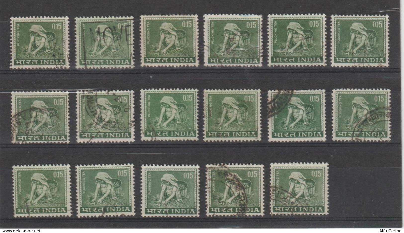 INDIA:  1965/66  RACCOLTA  THE   -  15 P. VERDE  US. -  RIPETUTO  17  VOLTE  -  YV/TELL. 193 - Used Stamps