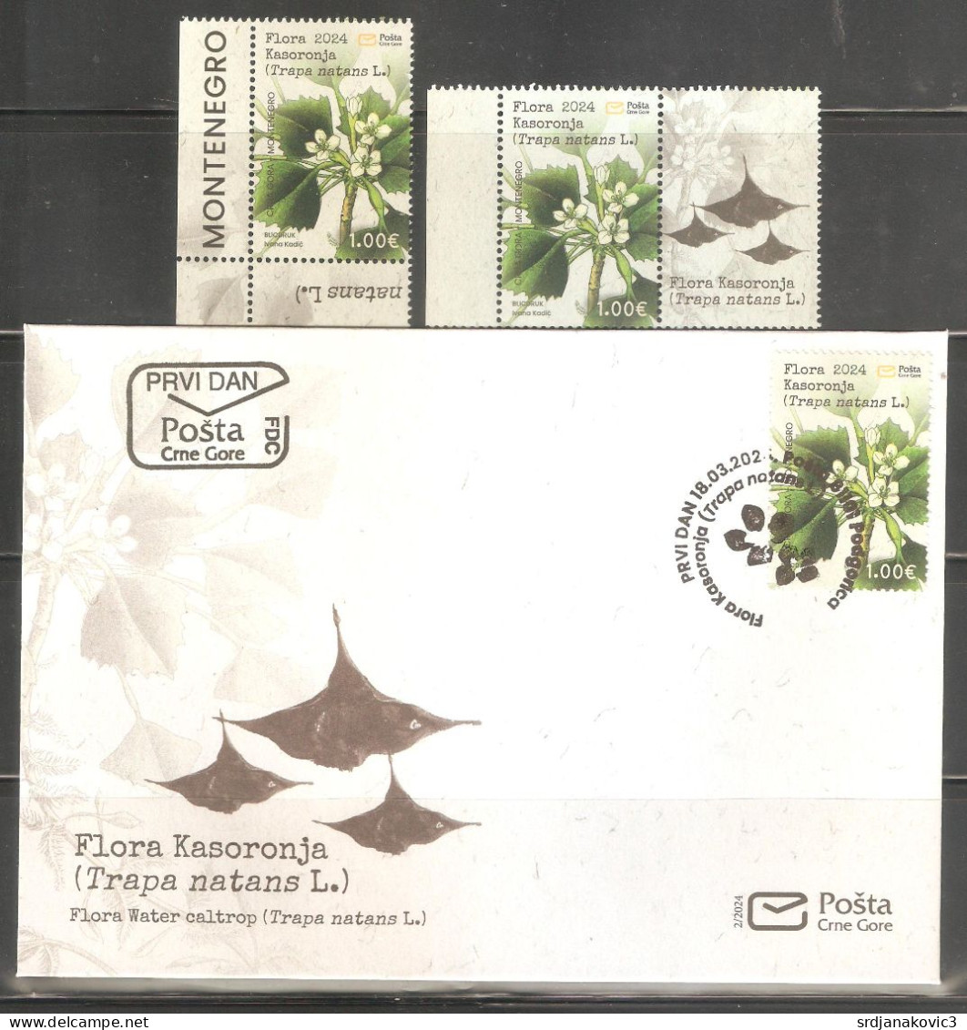 Montenegro, Flora 18 03.2024 - Montenegro