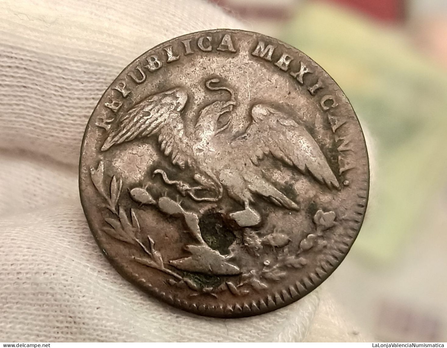 México 1/4 Real Federal Coinage 1836 Km 358 - Mexique