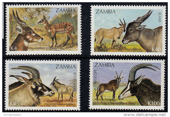 Zm0700 Zambia 1992, SG 700-703 Antelopes  MNH - Zambia (1965-...)