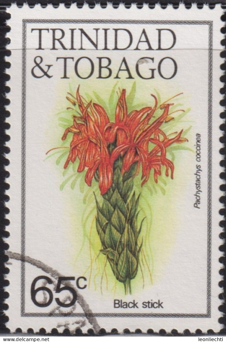 1983 Trinidad & Tobago (1962-...)° Mi:TT 486I, Sn:TT 399, Yt:TT 490, Sg:TT 643A, Black Stick (Pachystachys Coccinea) - Trinité & Tobago (1962-...)