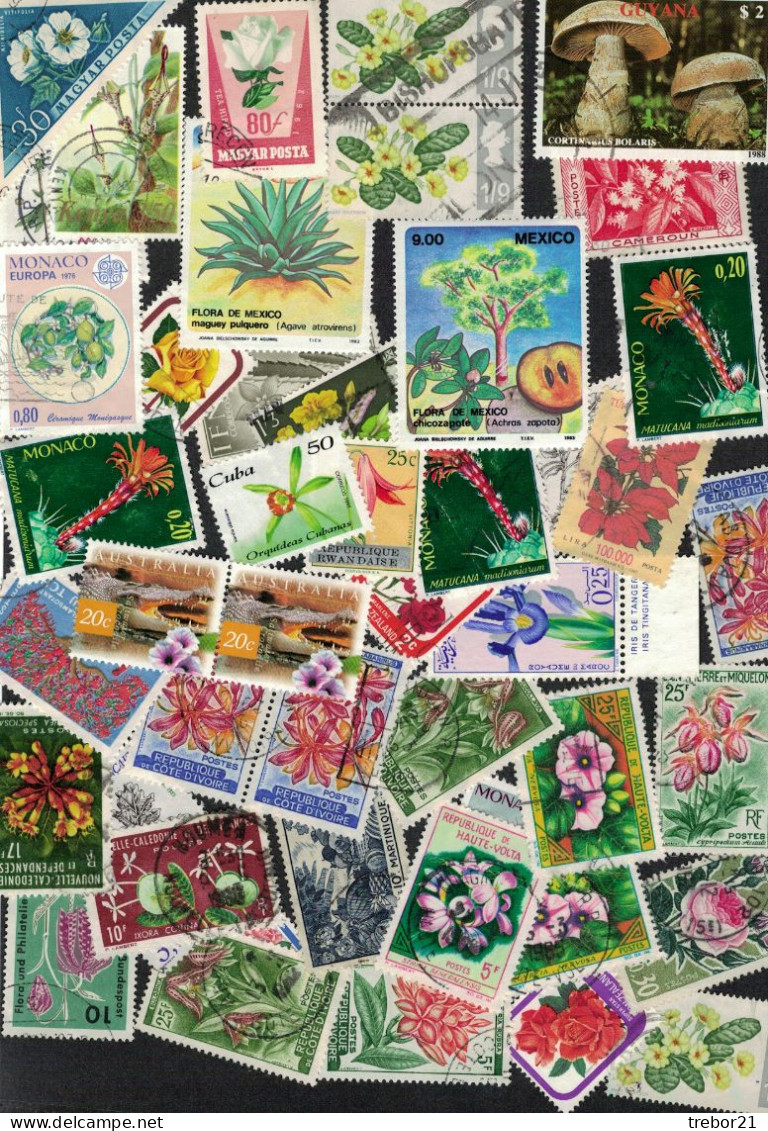 Lot De 110 Timbres Thème Flore. - Collections, Lots & Séries