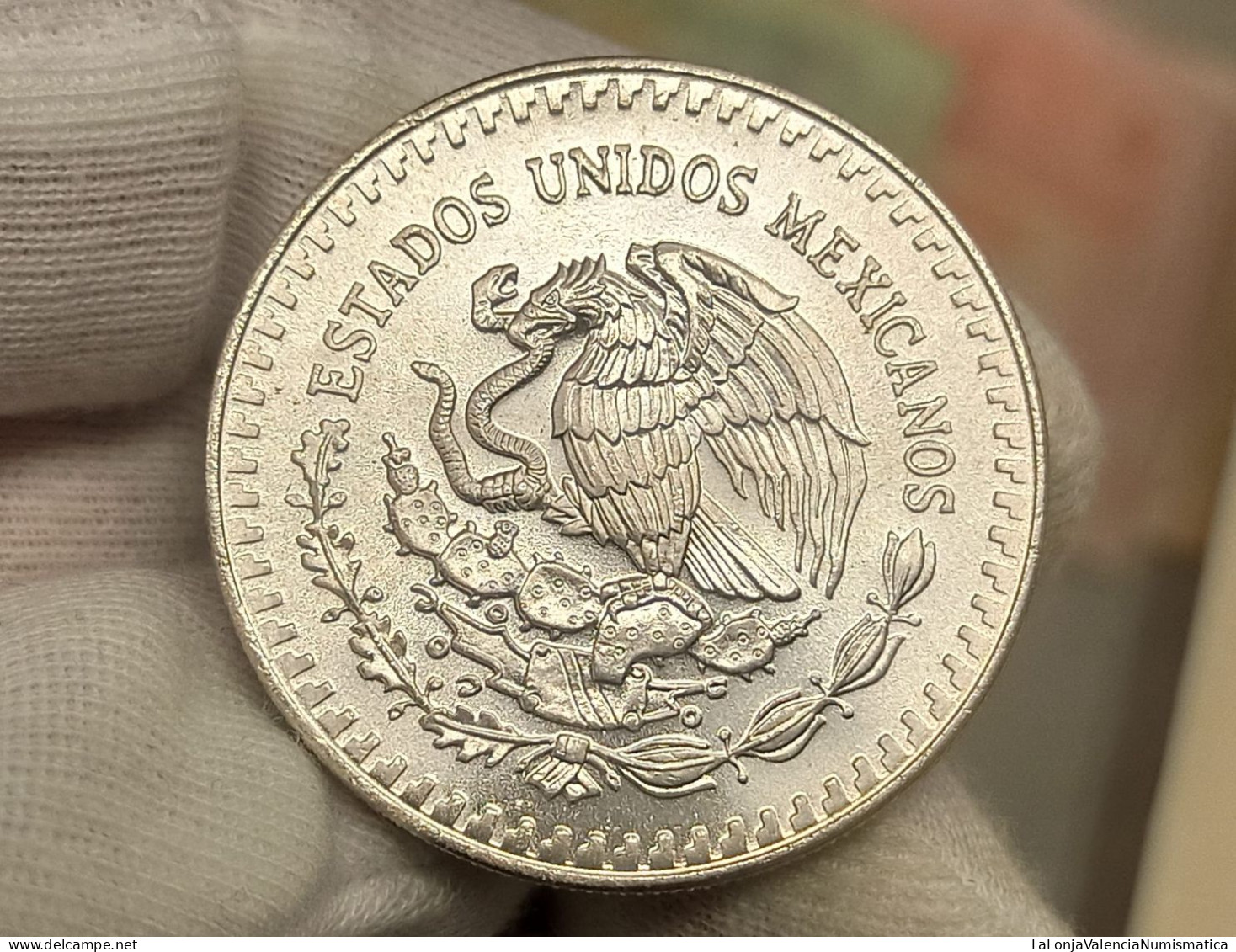 México 1 Onza Libertad 1990 Km 494 Plata Pura - Messico