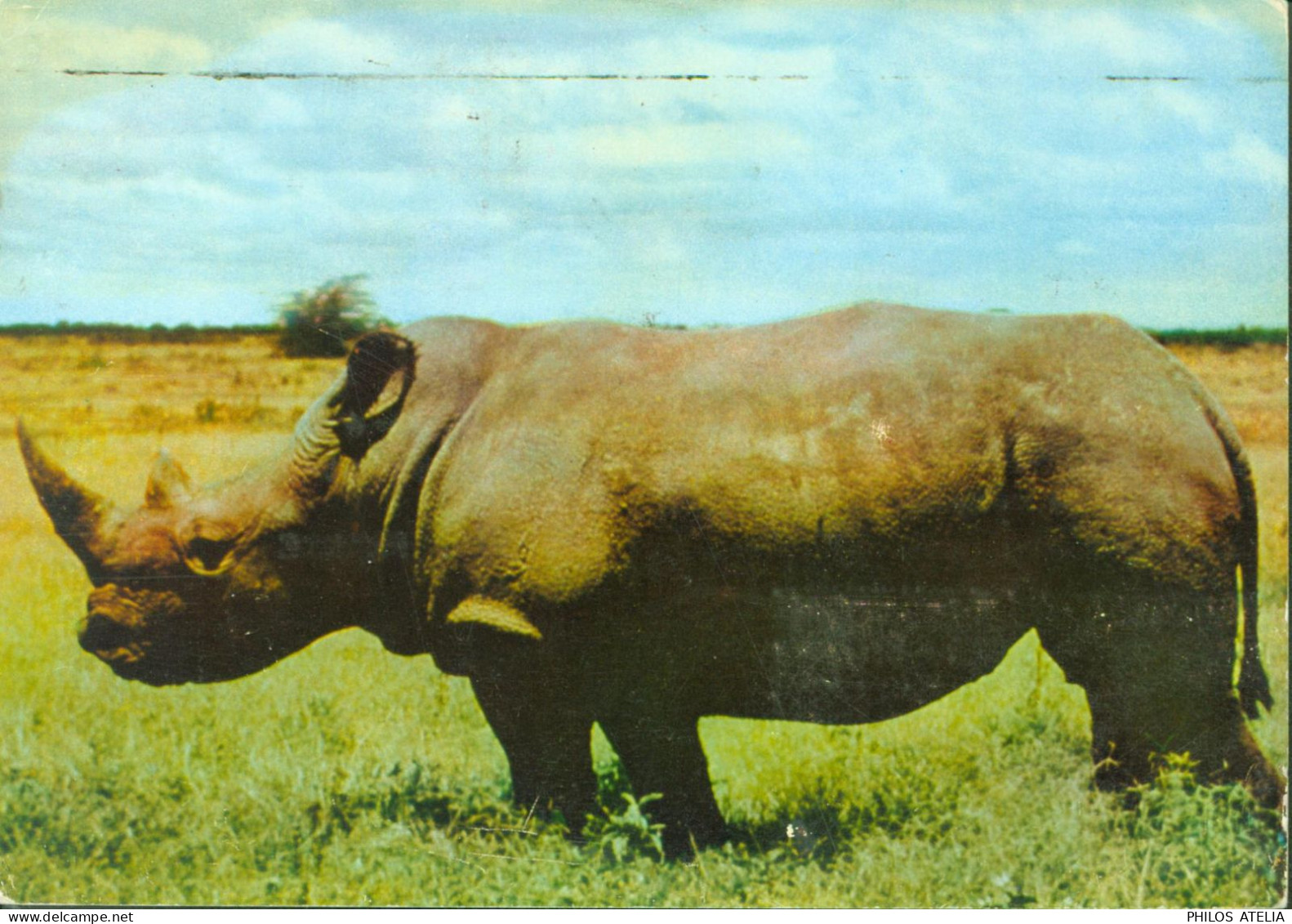 CP Publicitaire Ionyl Kenya Rhinocéros YT Kenya Uganda Tanganyika N°90 91 Elisabeth II CAD Mombasa 20 6 1957 - Kenya, Oeganda & Tanganyika