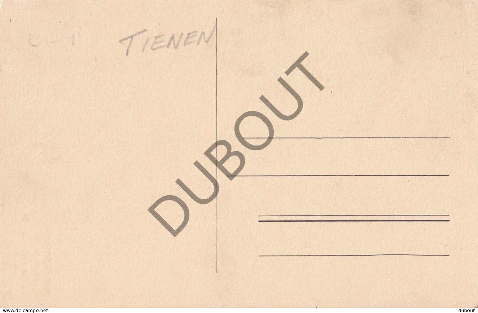 Postkaart - Carte Postale - Tienen - Monument (C5386) - Tienen