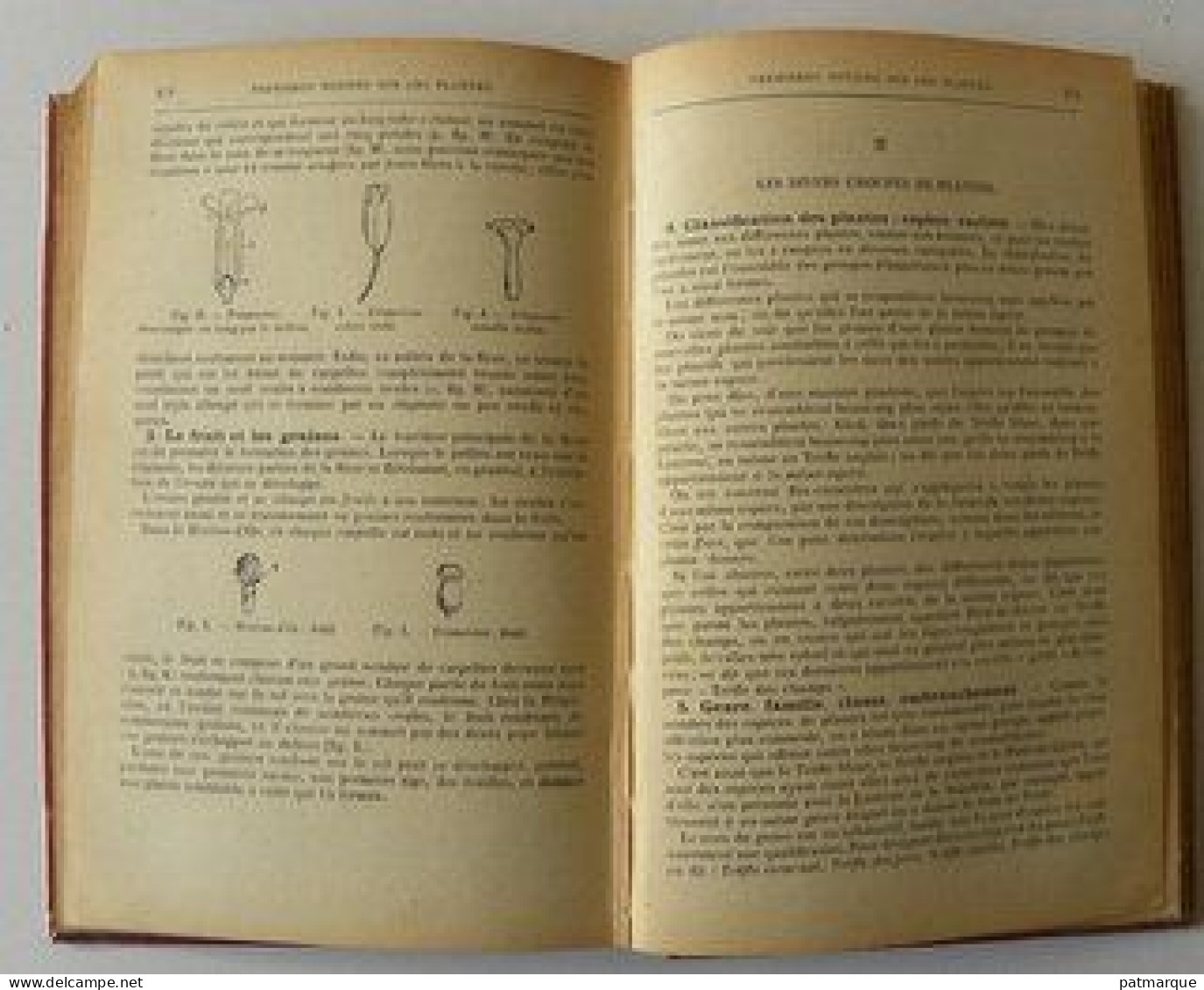 Flore Du Nord De La France Et De La Belgique . G. Bonnier Et G. De Layens - Natur