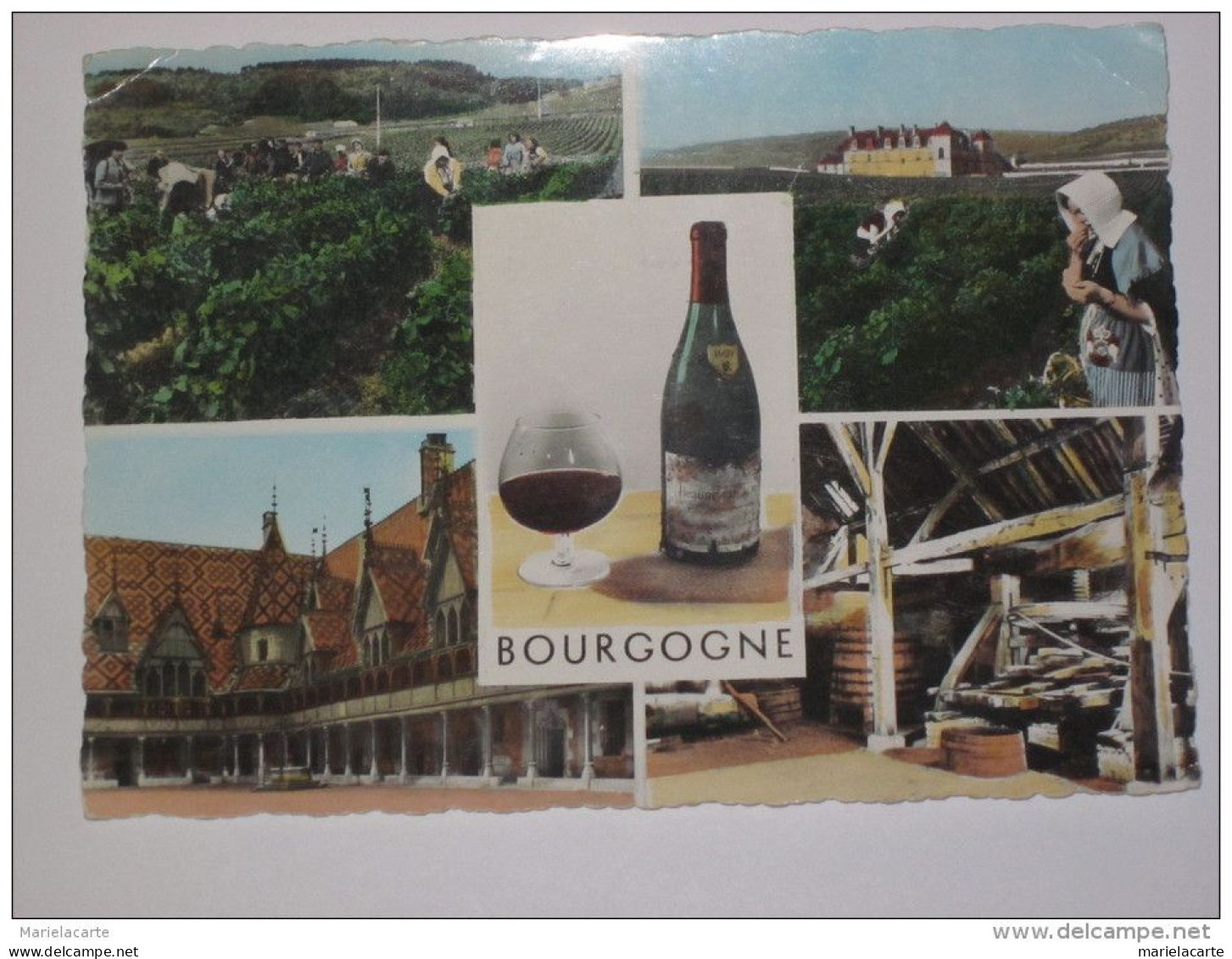 PAC1 -   Vendange En Bourgogne   ( Agriculture Vigne Vigneron Vendange   Raisin - Bourgogne