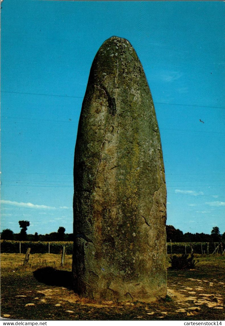 N°41891 Z -psm Dol De Bretagne -le Menhir- - Dolmen & Menhirs