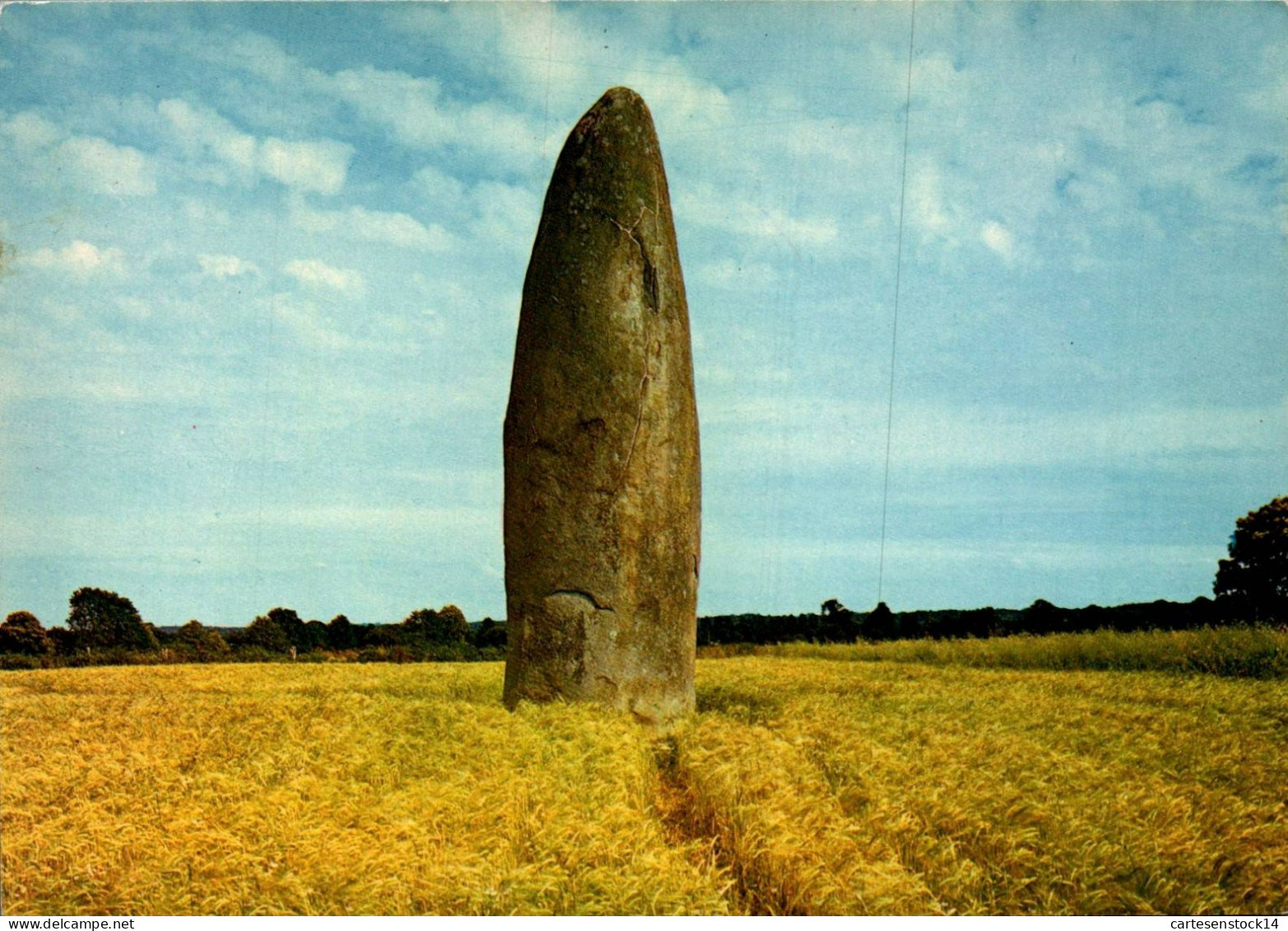 N°41892 Z -cpsm Dol De Bretagne -la Pierre Du Champ- - Dolmen & Menhire