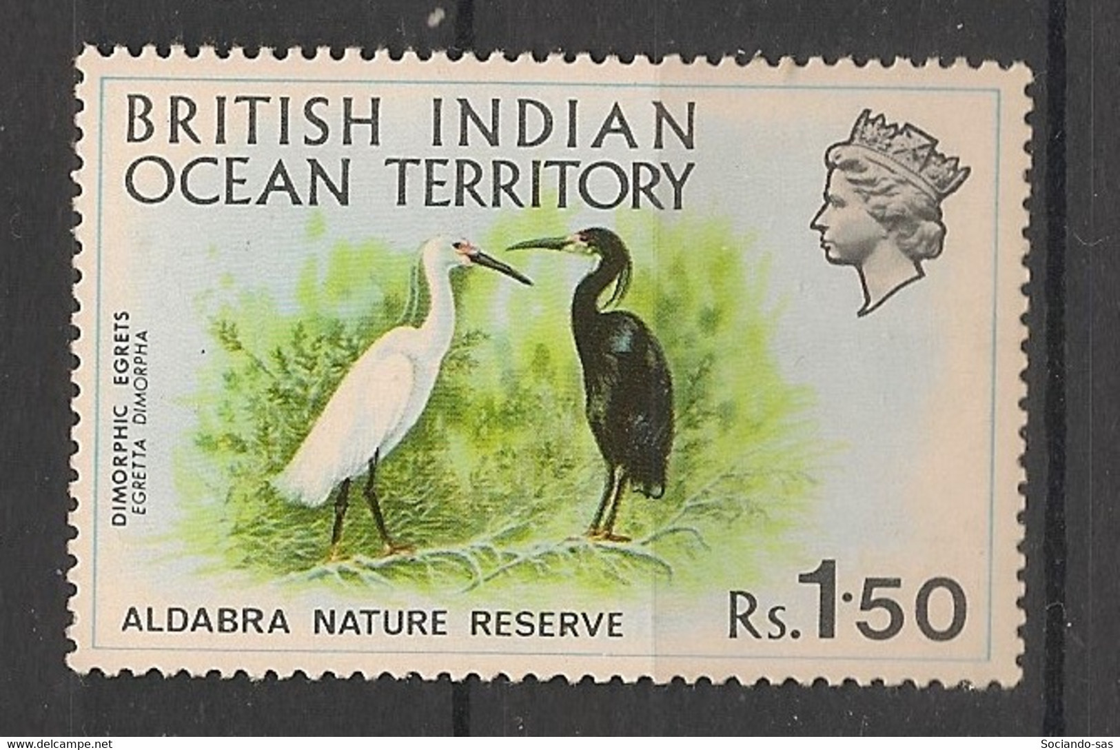 BRITISH INDIAN OCEAN - 1971 - N°YT. 42 - Aigrette - Neuf Luxe ** / MNH / Postfrisch - Storks & Long-legged Wading Birds