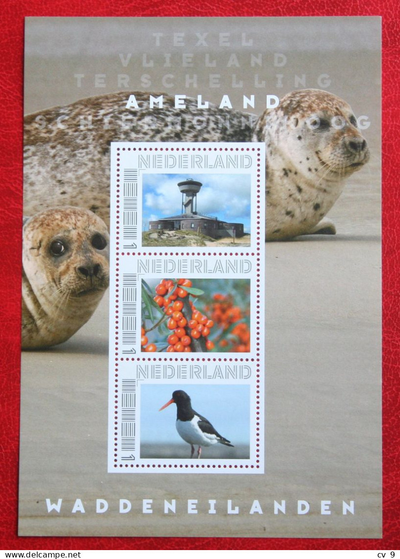 Waddeneilanden AMELAND BIRD VOGEL Oiseau Seal Siegel POSTFRIS MNH ** NEDERLAND NIEDERLANDE NETHERLANDS - Persoonlijke Postzegels