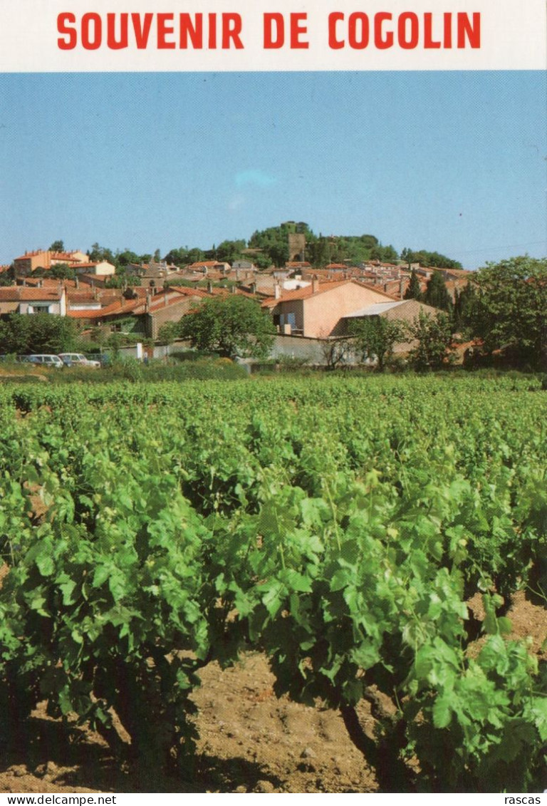 CPM - R - VAR - SOUVENIR DE COGOLIN - VUE GENERALE PRISE D'UN VIGNOBLE - Cogolin