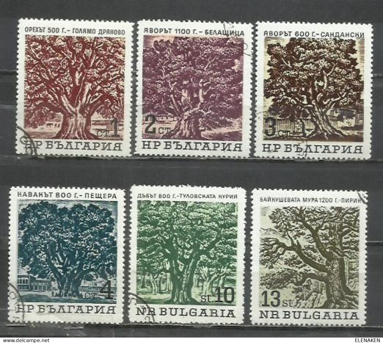 0598- BULGARIA SERIE COMPLETA 1964 Nº 1296/1301 ÁRBOLES - Oblitérés