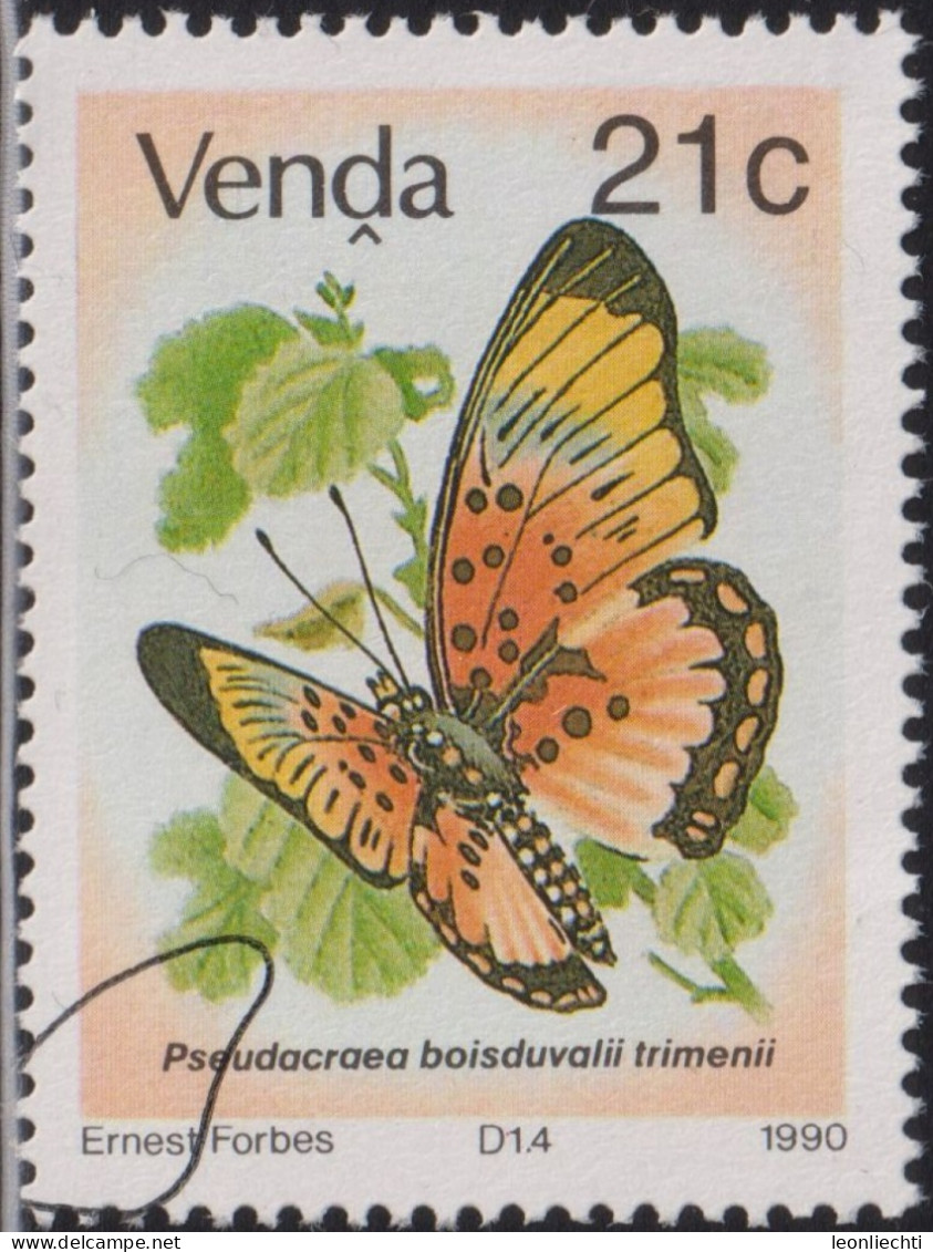 1990 Venda ° Mi:ZA-VD 213, Sn:ZA-VD 217, Yt:ZA-VD 213, Sg:ZA-VD 211,Schmetterling (Pseudacraea Boisduvali) - Venda