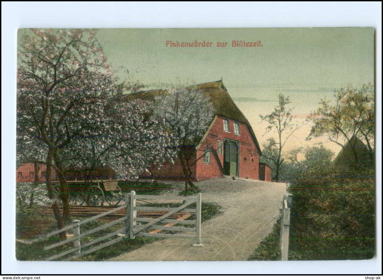 XX13888/ Hamburg Finkenwerder Baumblüte AK Ca.1912 - Finkenwerder