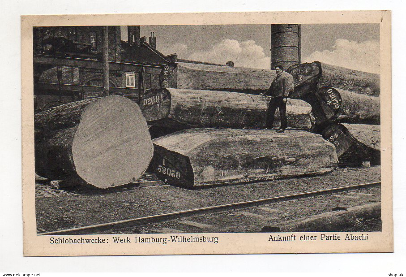 XX002006/ Hamburg Wilhelmsburg Schlobachwerke Abachi-Holz Ca.1920 - Wilhemsburg