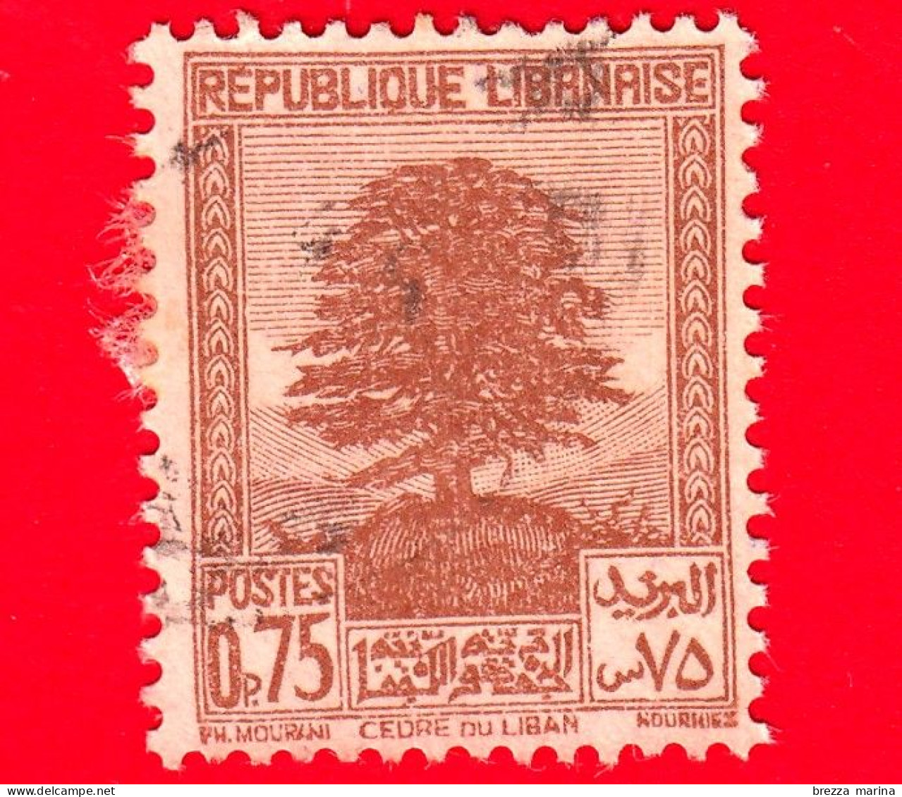 LIBANO - Usato - 1940 - Simboli Del Paese - Alberi - Cedro - 0.75 - Gebruikt