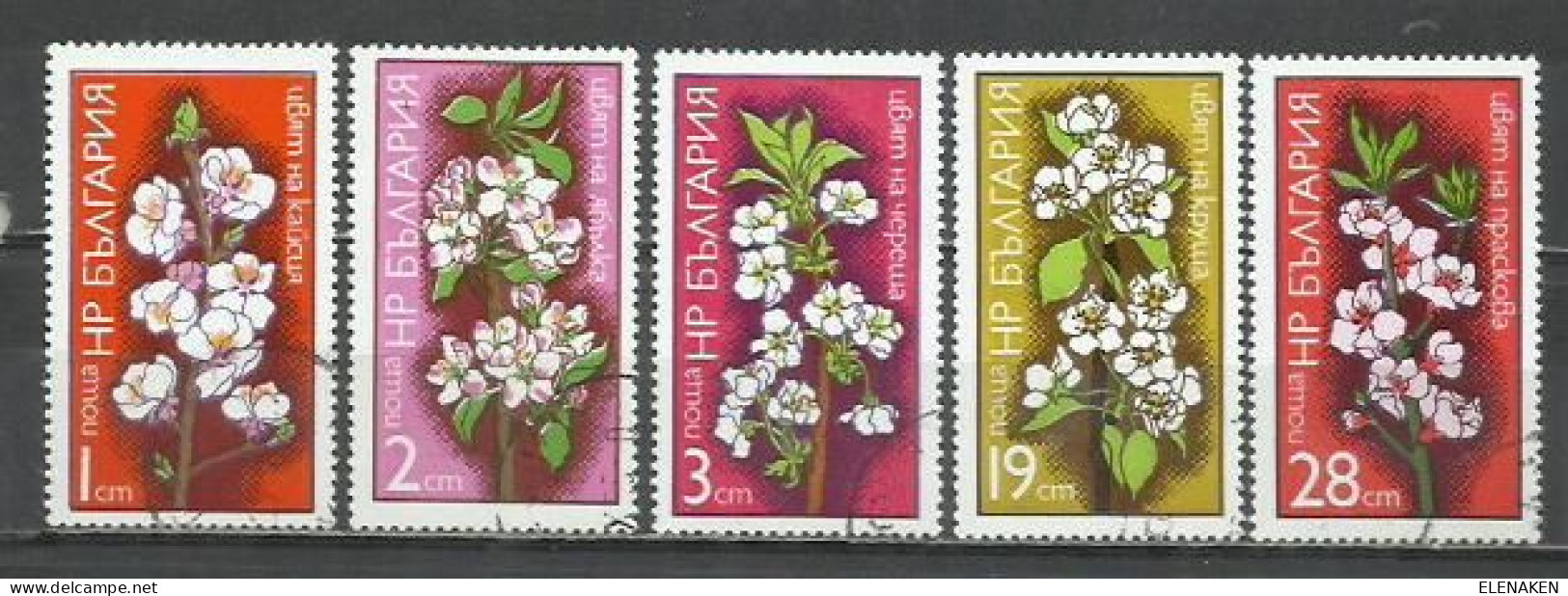 0607F- BULGARIA SERIE COMPLETA 1975 FLORES PLANTAS BOTANICA 2123/2127 - Gebruikt