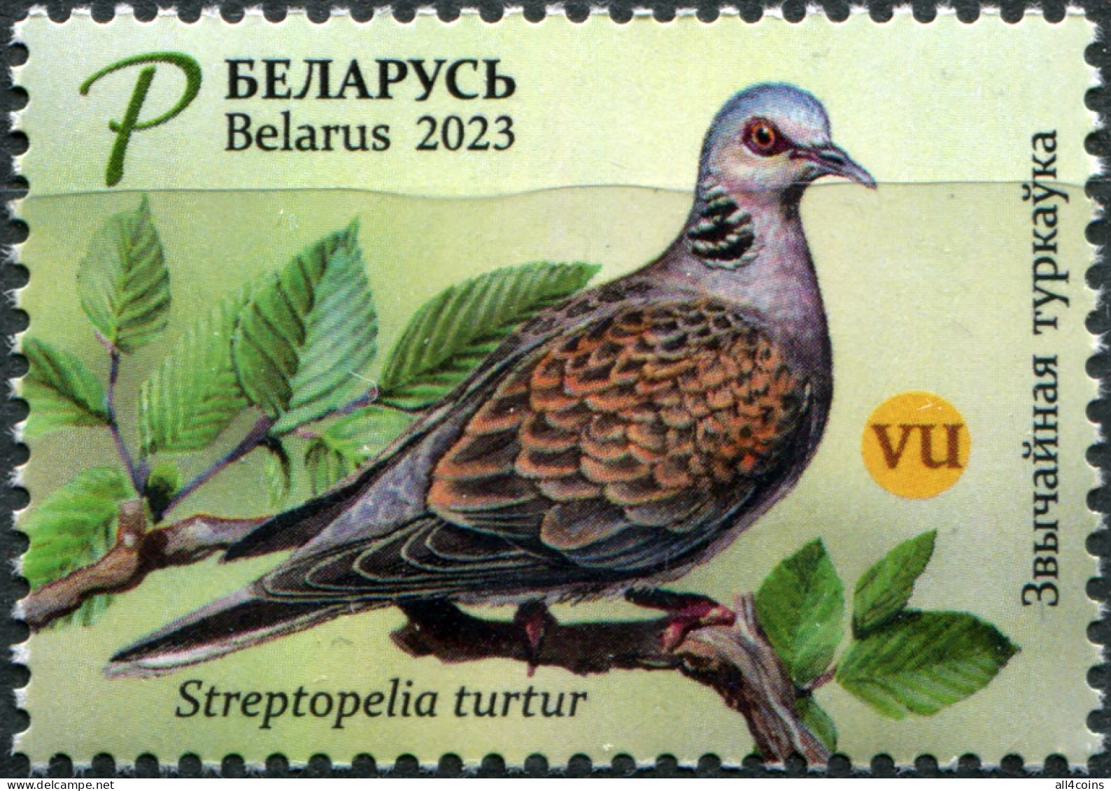 Belarus 2023. European Turtle Dove (Streptopelia Turtur) (MNH OG) Stamp - Belarus