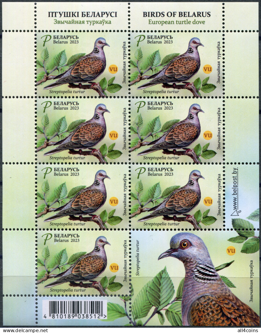 Belarus 2023. European Turtle Dove (Streptopelia Turtur) (MNH OG) M/S - Belarus