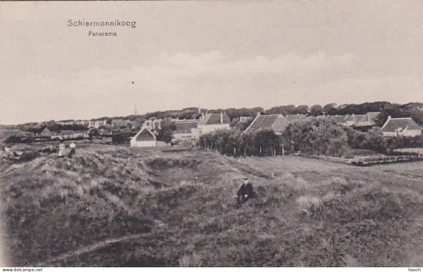 48604 Schiermonnikoog, Panorama.  - Schiermonnikoog