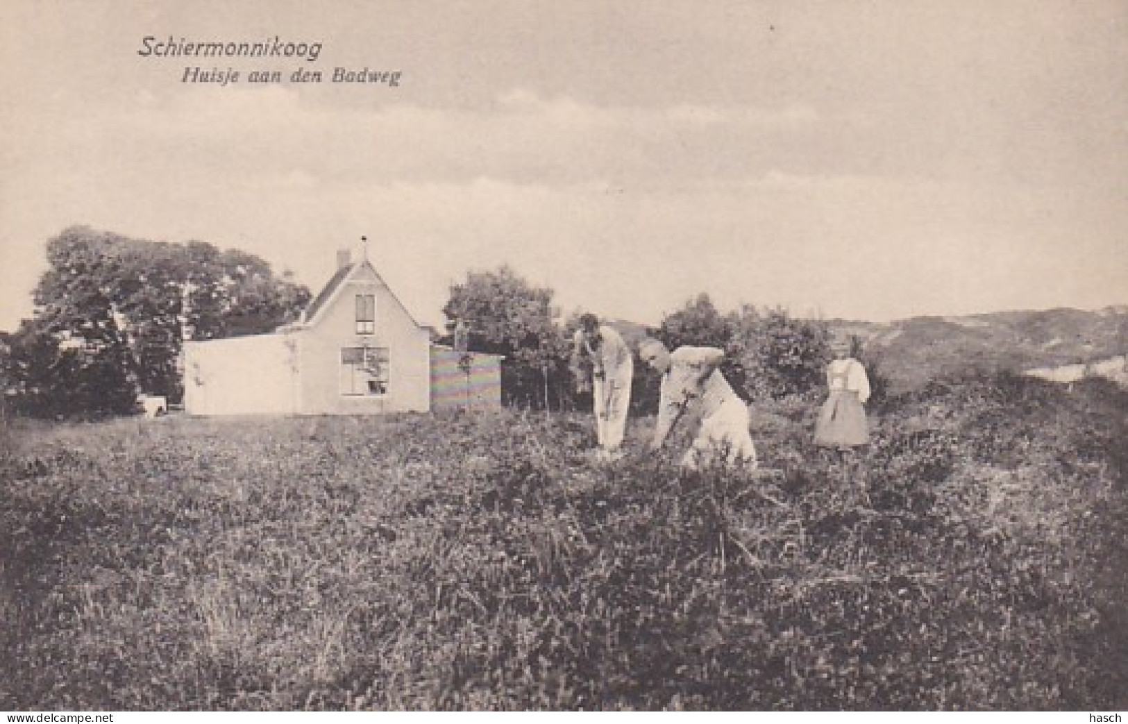 48609Schiermonnikoog, Huisje Aan Den Badweg.   - Schiermonnikoog